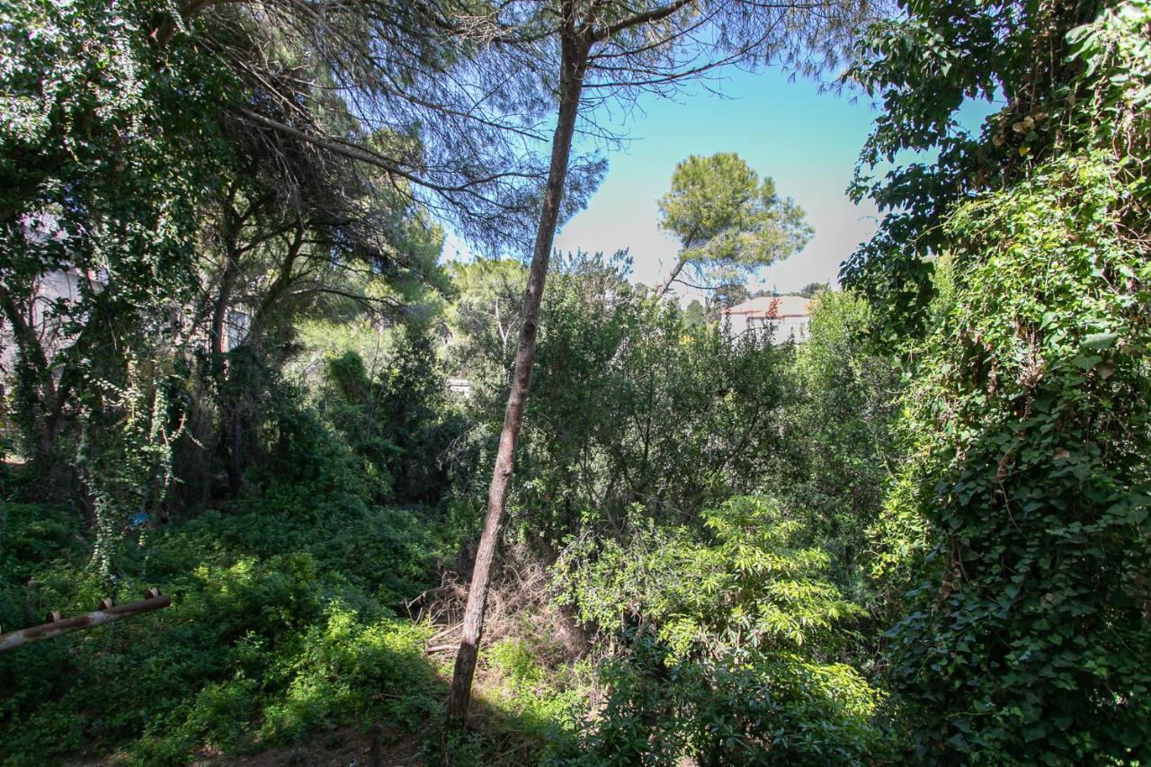 Carmel Boutique Apartments - Urban Forest Haifa Eksteriør billede